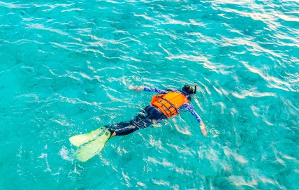 Snorkeling activity
